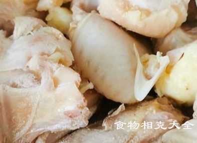 土鸡的营养价值