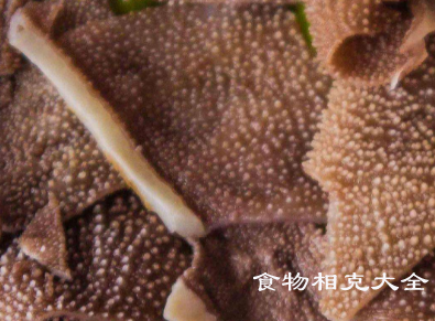 毛肚的营养价值