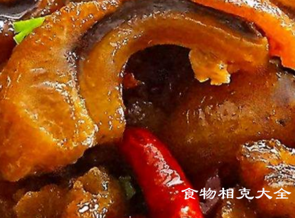 牛鞭的营养价值