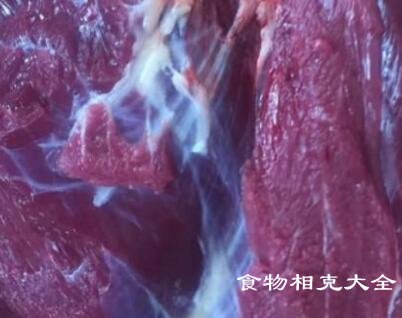 牛腿肉的营养价值