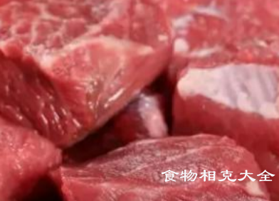 牛腩的营养价值