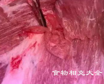 猪夹心肉的营养价值