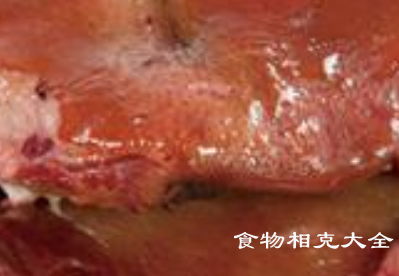 猪嘴边肉的营养价值