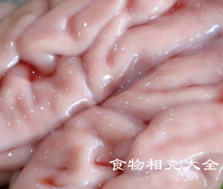 猪脑的营养价值