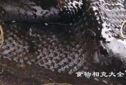 乌鸡的营养价值