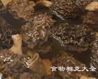 羊肚的营养价值