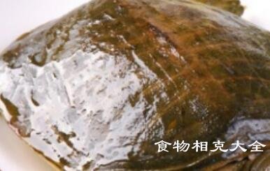 裙边的营养价值