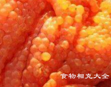 鱼卵的营养价值
