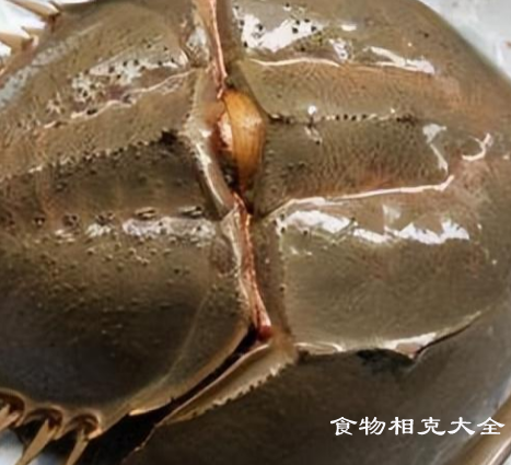 中国鲎的营养价值