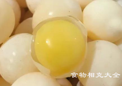 甲鱼蛋的营养价值