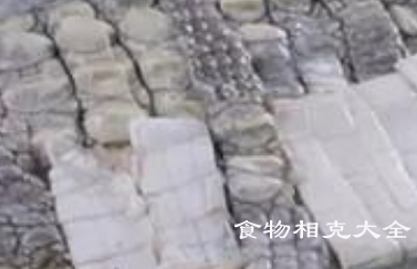 鳄鱼肉的营养价值