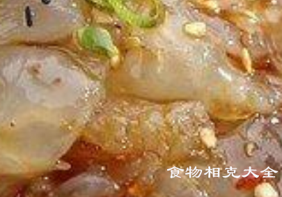 蜇皮的营养价值