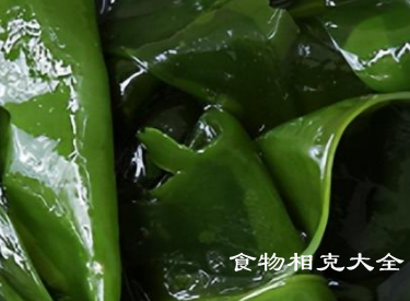 裙带菜的营养价值