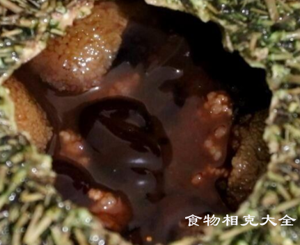 海胆的营养价值