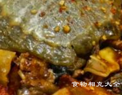 甲鱼的营养价值