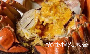 蟹子的营养价值