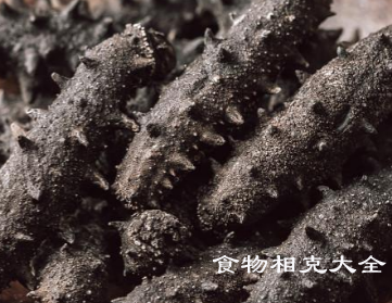 海参的营养价值