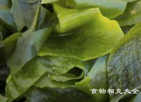 海带的营养价值