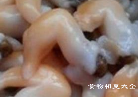 鸟贝的营养价值