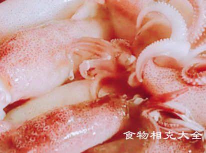 笔管鱼的营养价值