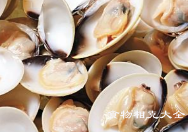 圆蛤的营养价值