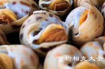 凤螺的营养价值
