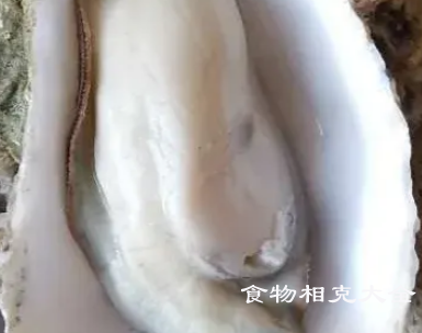海蛎子的营养价值 海蛎子的营养价值