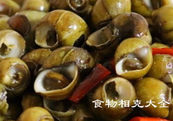 黄螺的营养价值