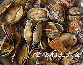 杂色蛤蜊的营养价值