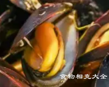 孔雀蛤的营养价值