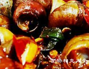 石螺的营养价值