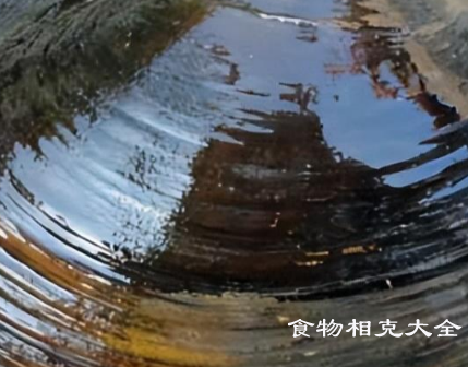 河蚌的营养价值