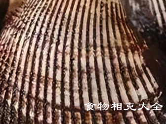 赤贝的营养价值