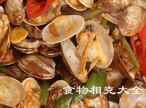 花蛤的营养价值