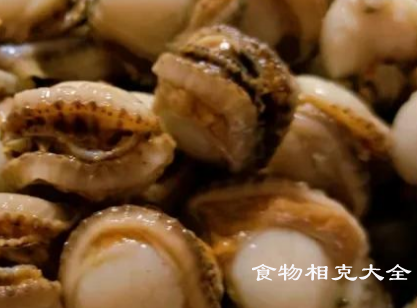 红螺的营养价值