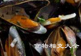 贻贝的营养价值