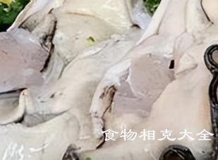 生蚝的营养价值