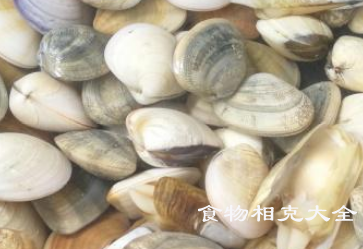 鲜贝的营养价值