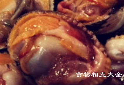 毛蚶的营养价值