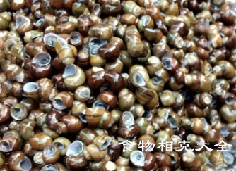 螺蛳的营养价值