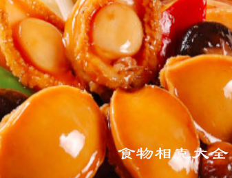 鲜鲍的营养价值