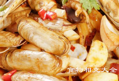 蛏子的营养价值