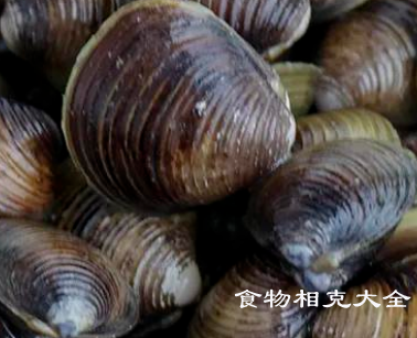 蚬子肉的营养价值