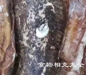 干墨鱼的营养价值