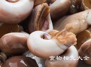 香螺的营养价值