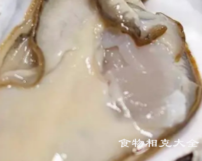 牡蛎的营养价值