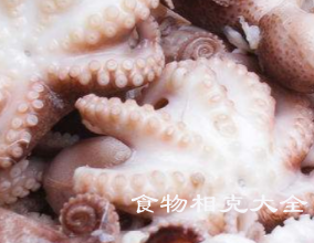 章鱼的营养价值