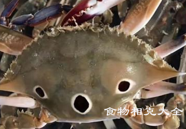 三点蟹的营养价值