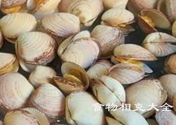 蛤蜊的营养价值