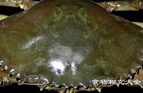 锯缘青蟹的营养价值